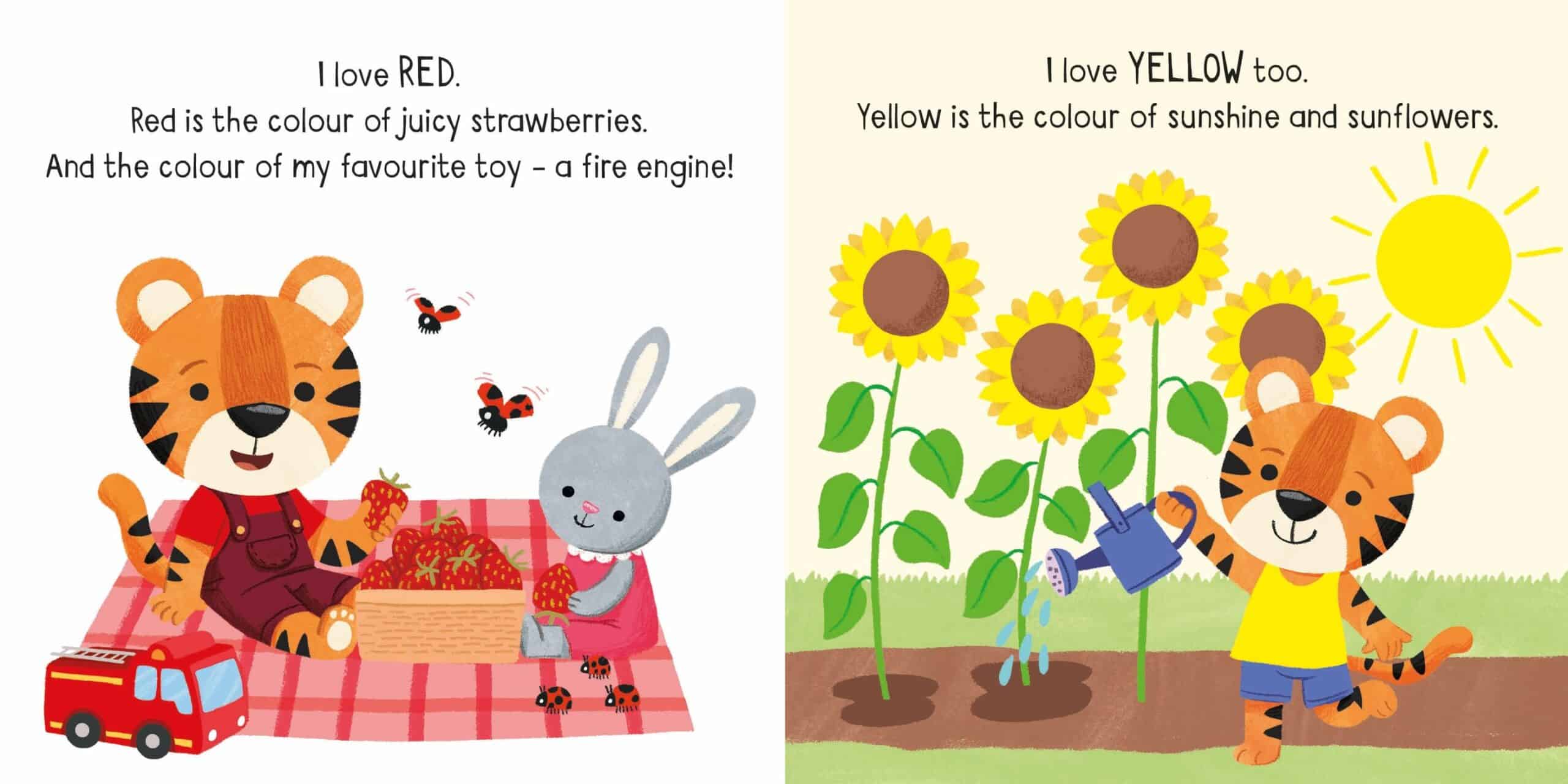 Carte pentru copii - Little Board Books Colours