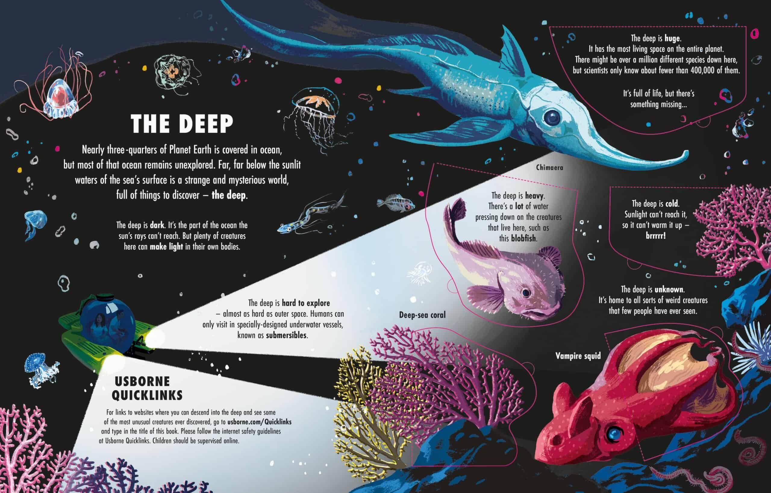Carte pentru copii - See Inside the Deep