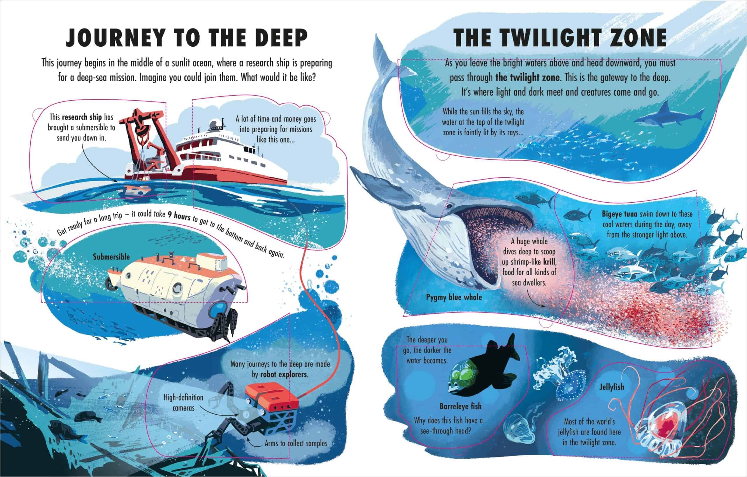 Carte pentru copii - See Inside the Deep