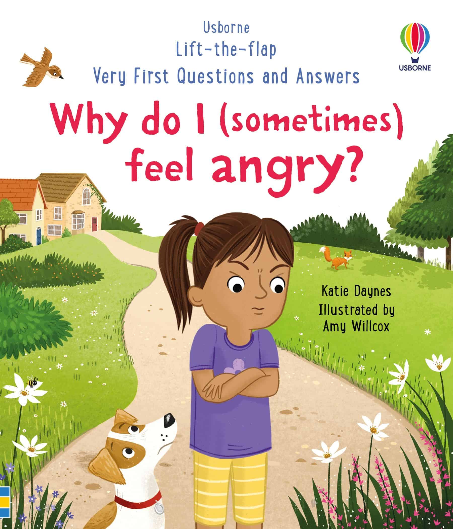 Carte pentru copii, Usborne, Very First Questions and Answers: Why do I (sometimes) feel angry?, 3+ ani