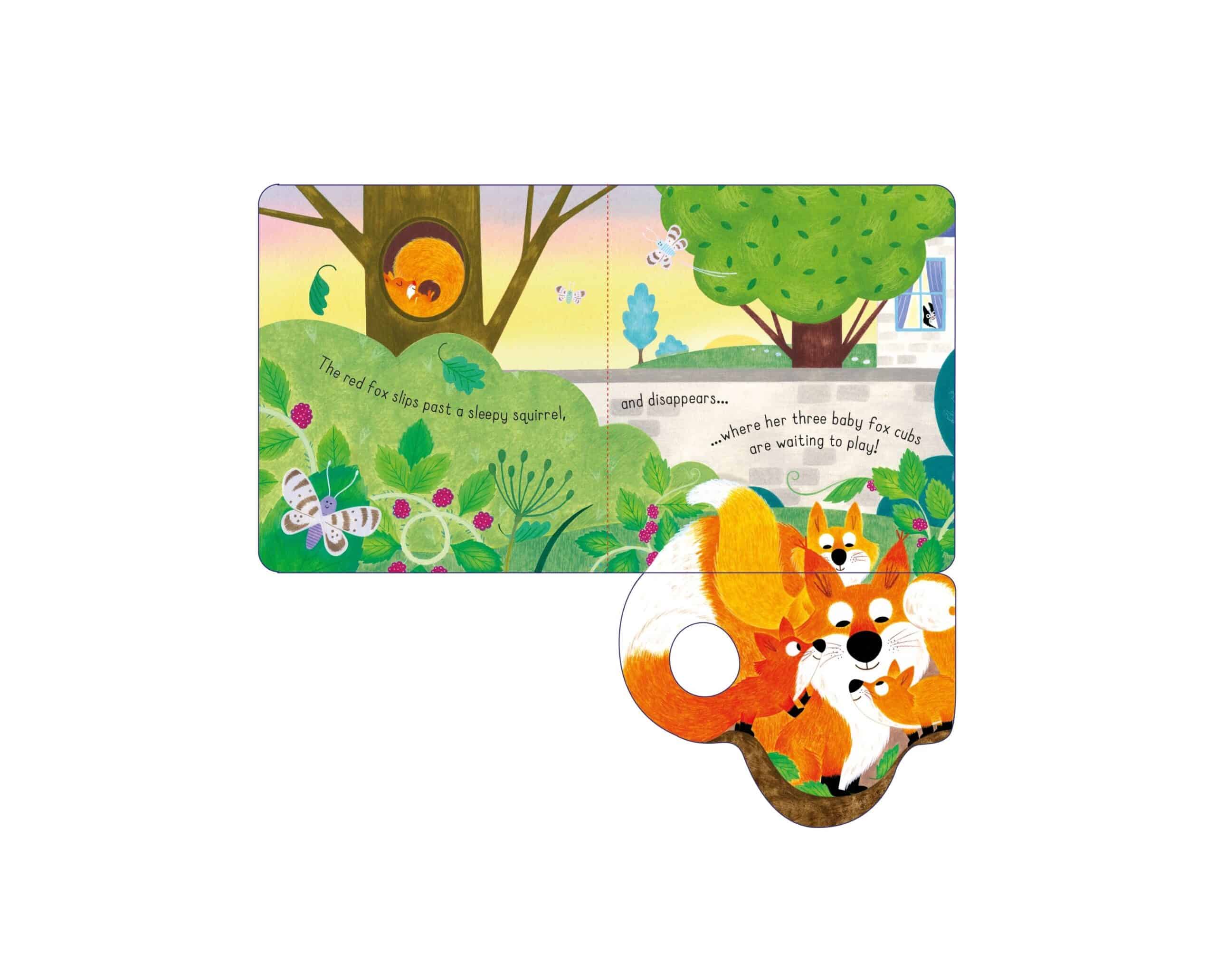 Carte pentru copii - Little Lift and Look Red Fox
