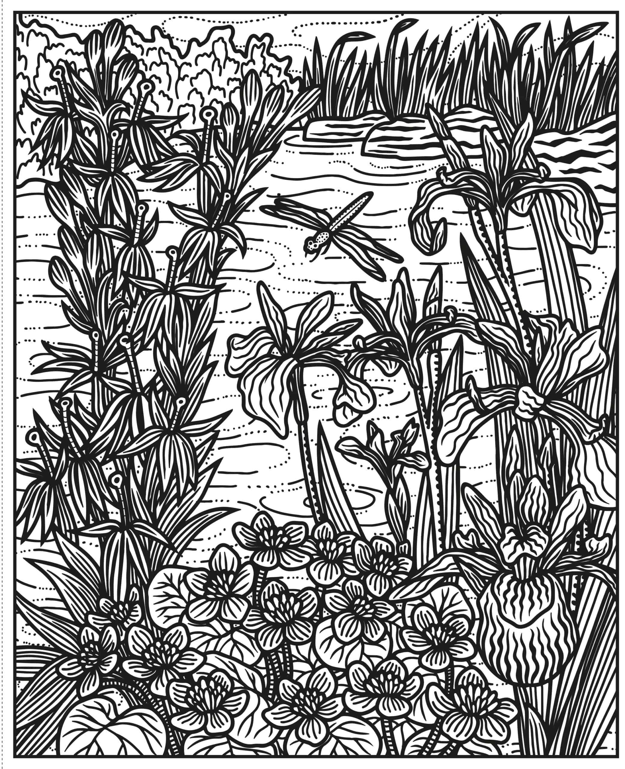Carte de pictat cu apa - Wildflowers Magic Painting Book