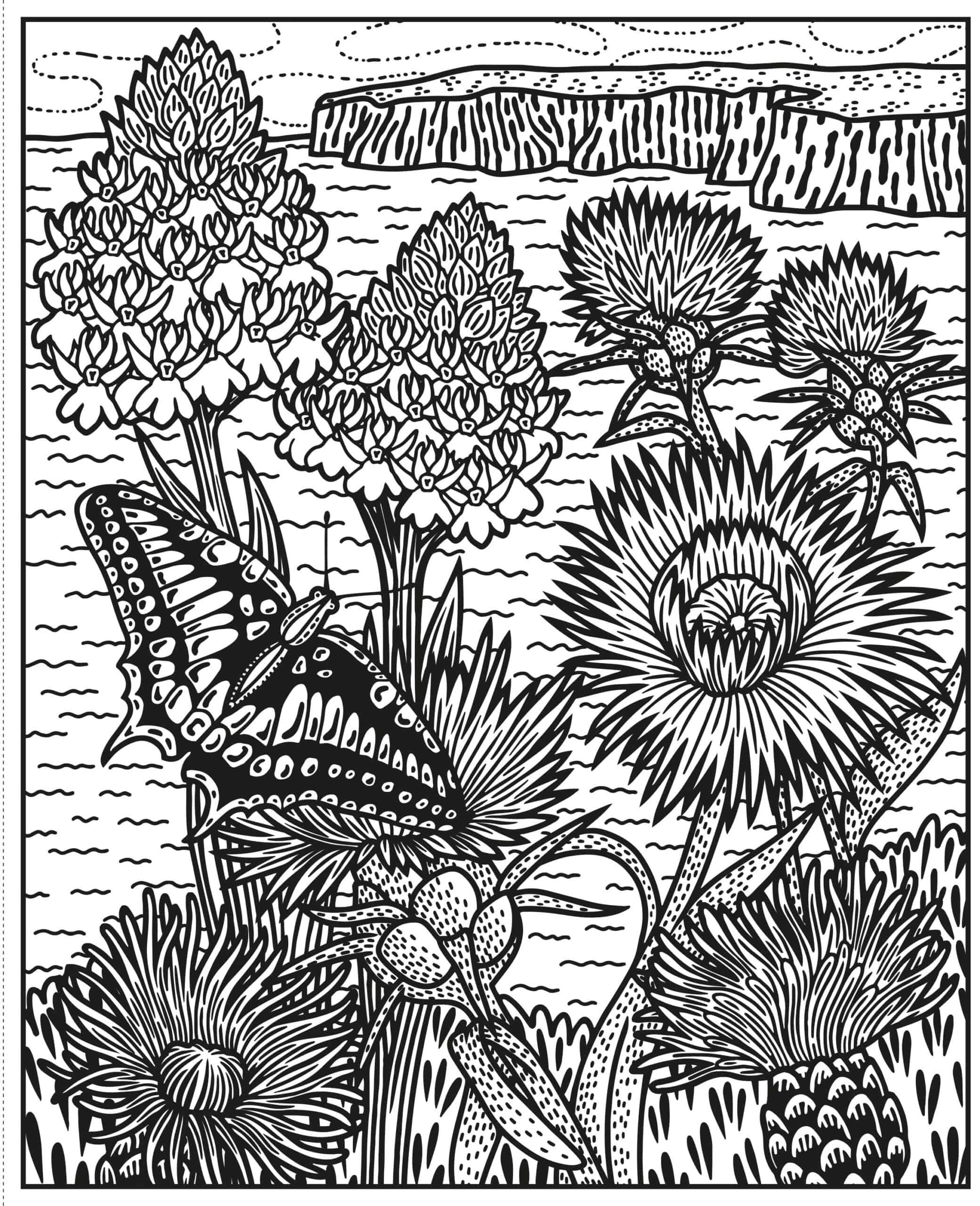 Carte de pictat cu apa - Wildflowers Magic Painting Book