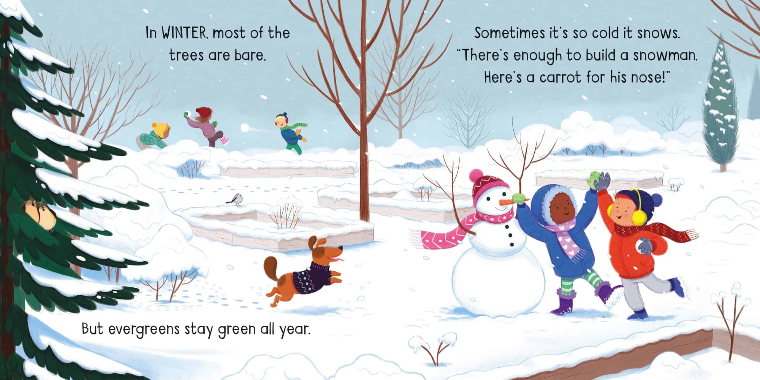 Carte pentru copii - Little Board Books The Seasons