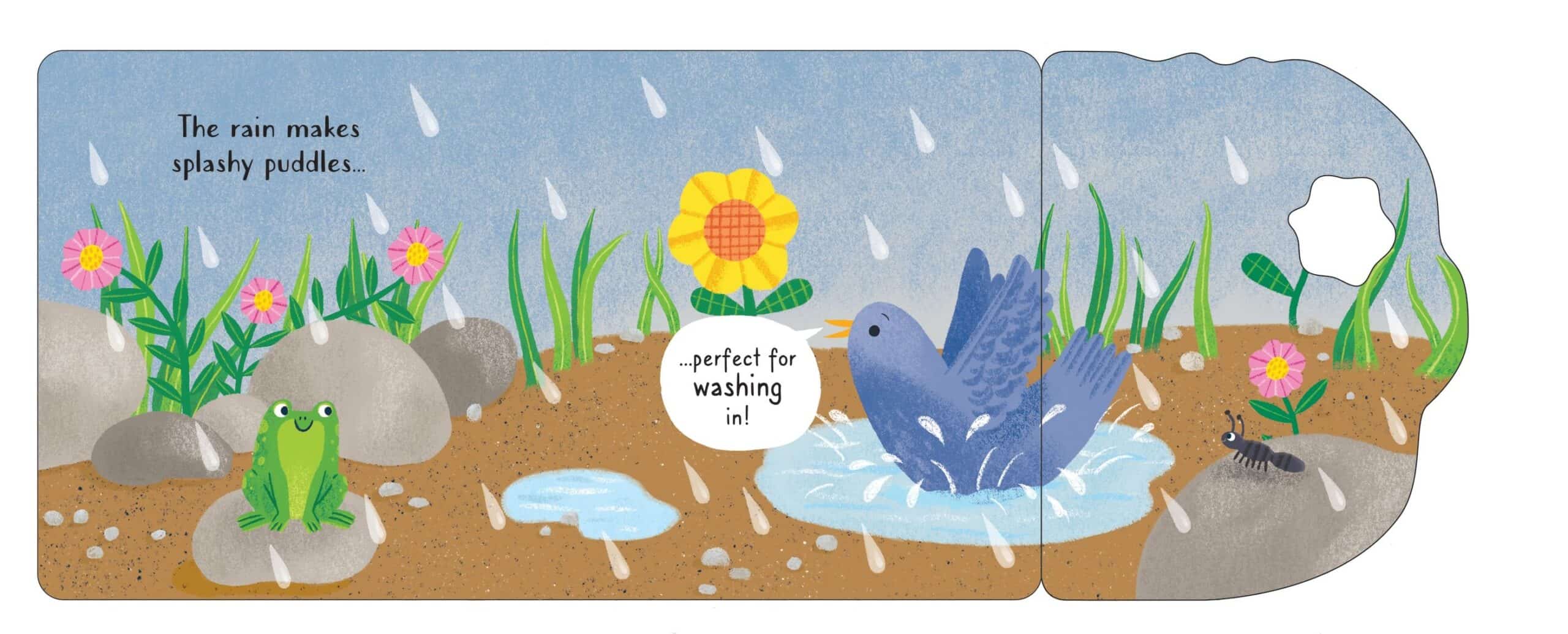 Carte pentru copii - Baby books BIG flap book: On a Raindy day