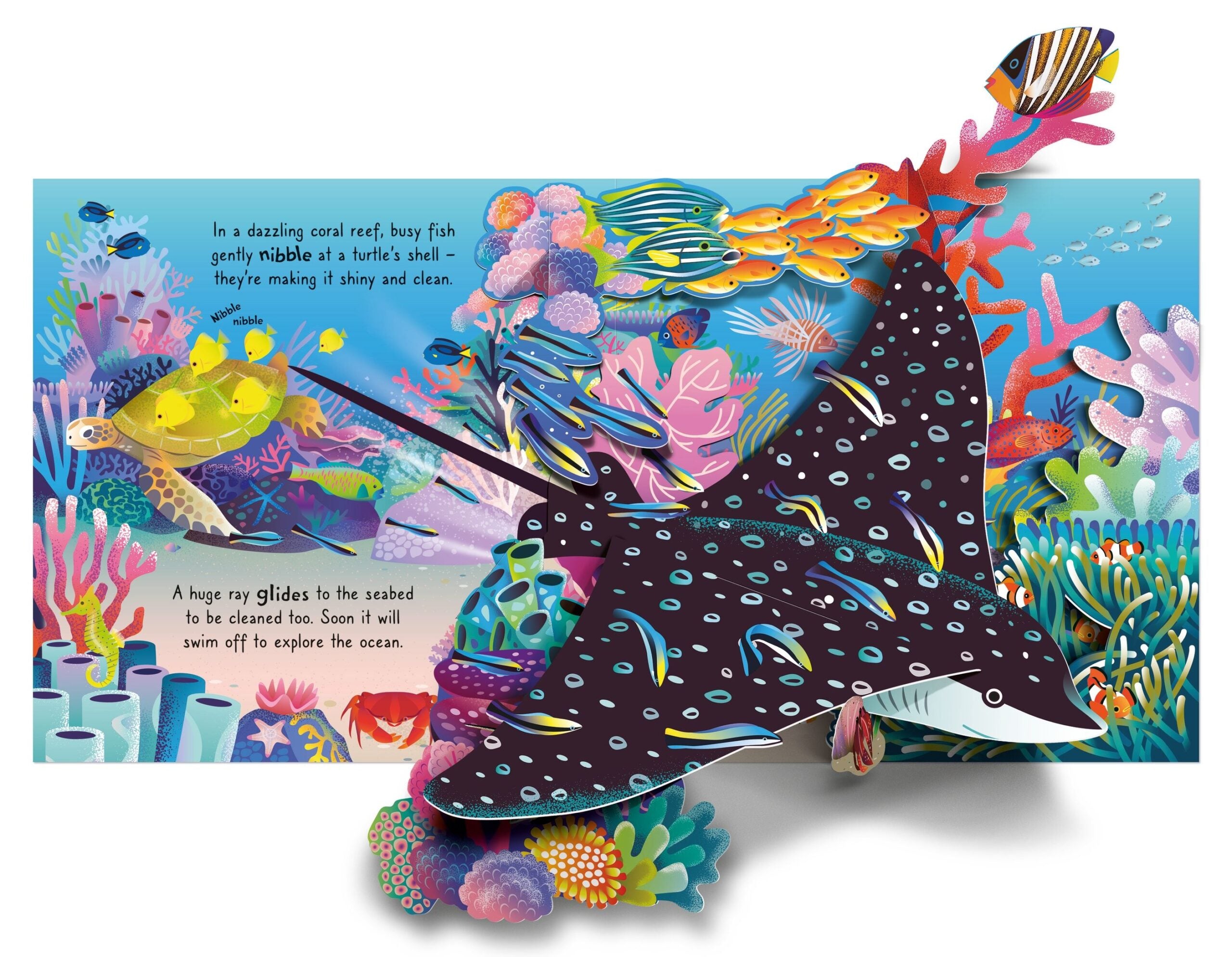 Carte Pop-up Ocean, Usborne, + 5 ani