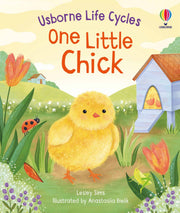 Carte pentru copii, Usborne, One Little Chick, 2+ ani