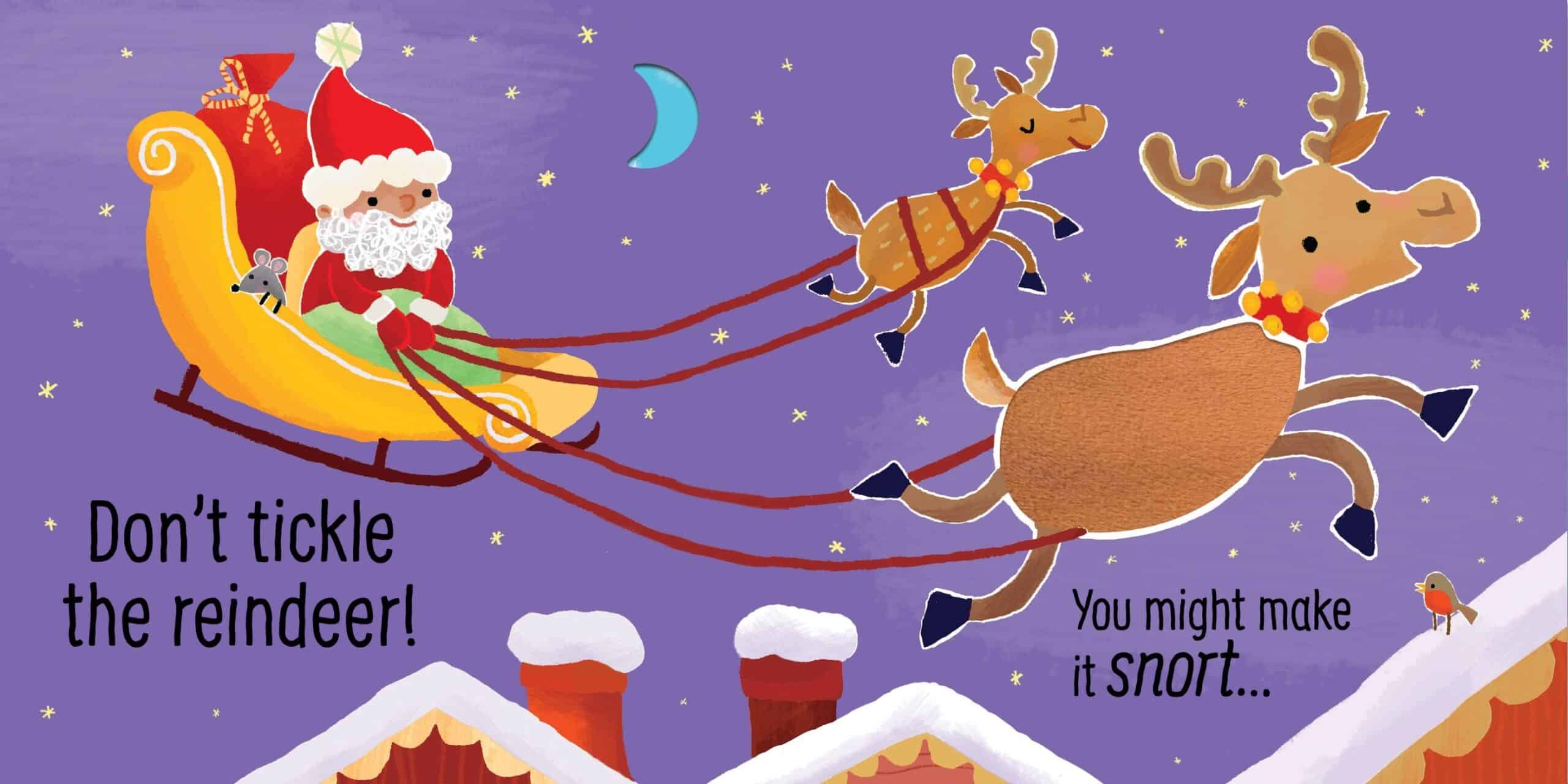 Carte pentru copii - Don't Tickle Santa!