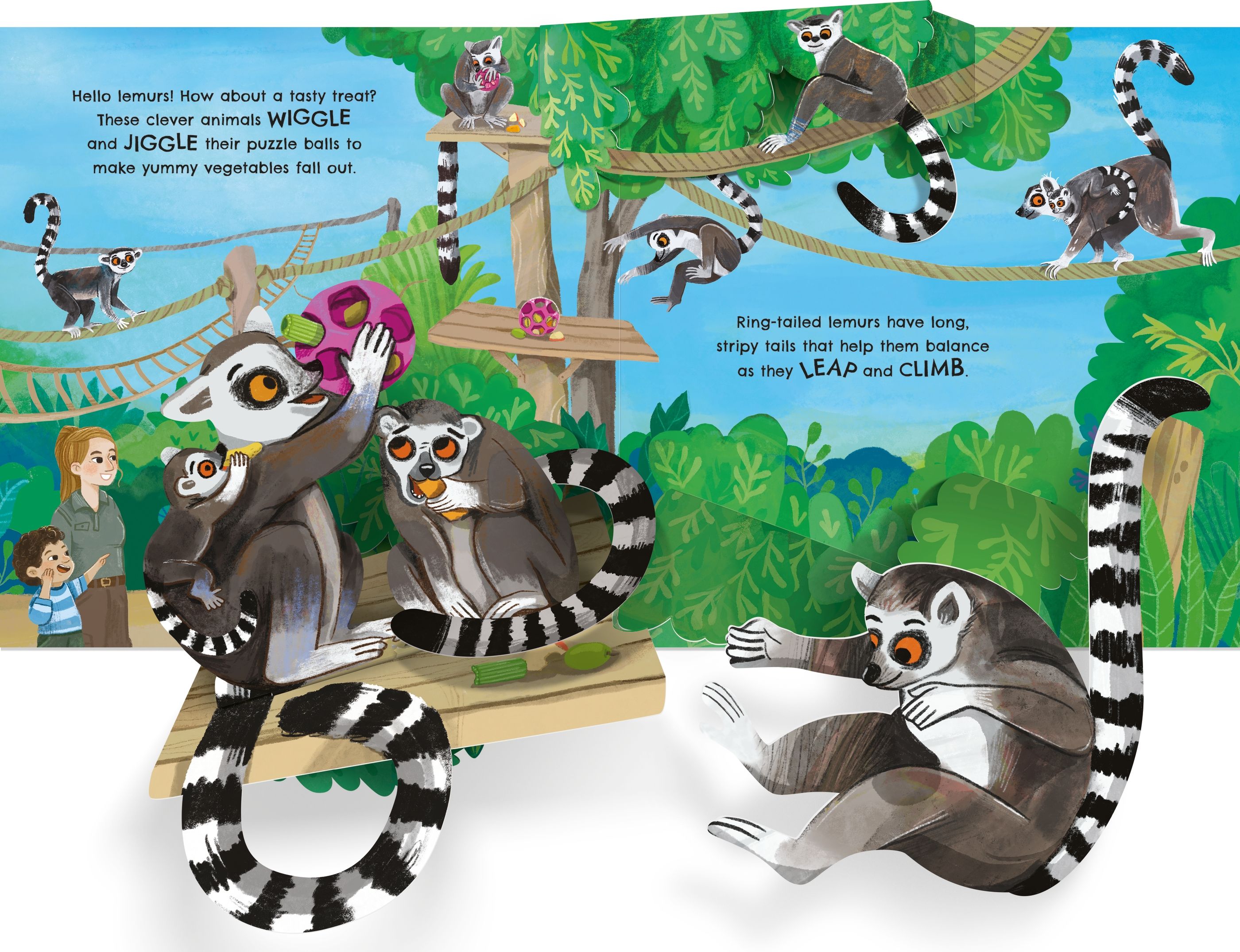 Carte pop-up, Pop-up zoo, Usborne + 1 an