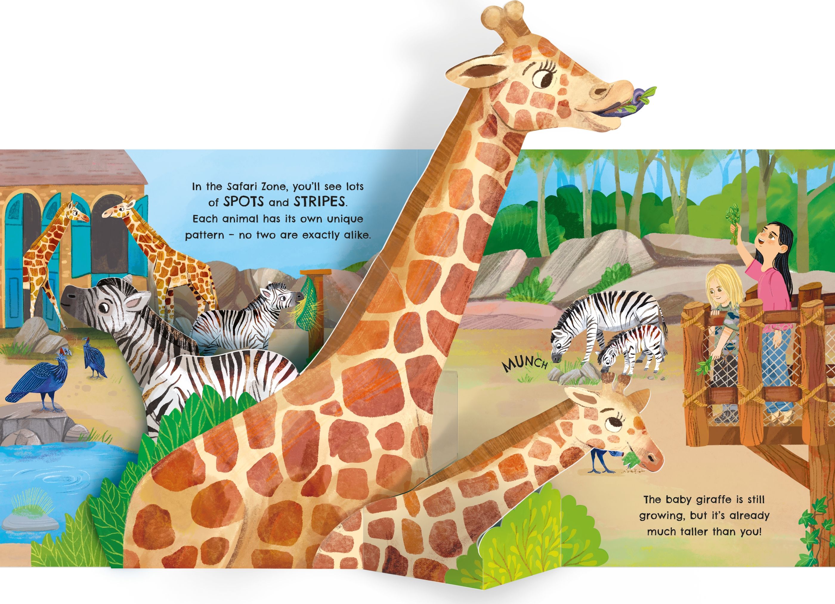 Carte pop-up, Pop-up zoo, Usborne + 1 an