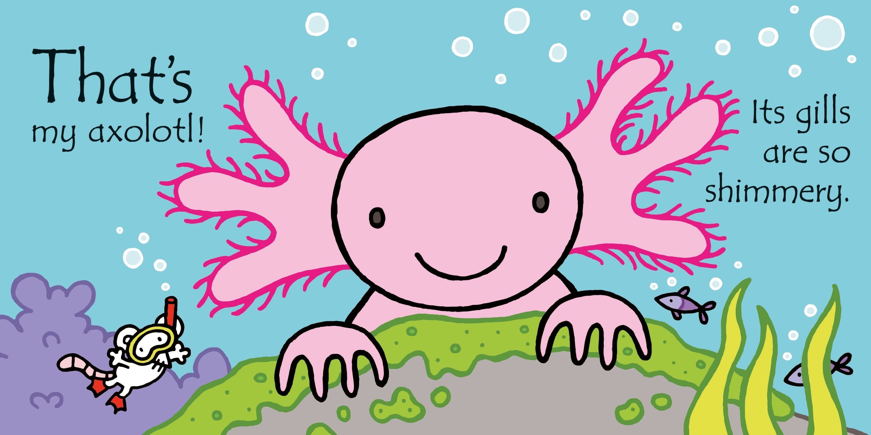 Carte senzorială, That's not my axolotl..., Usborne + 6 luni