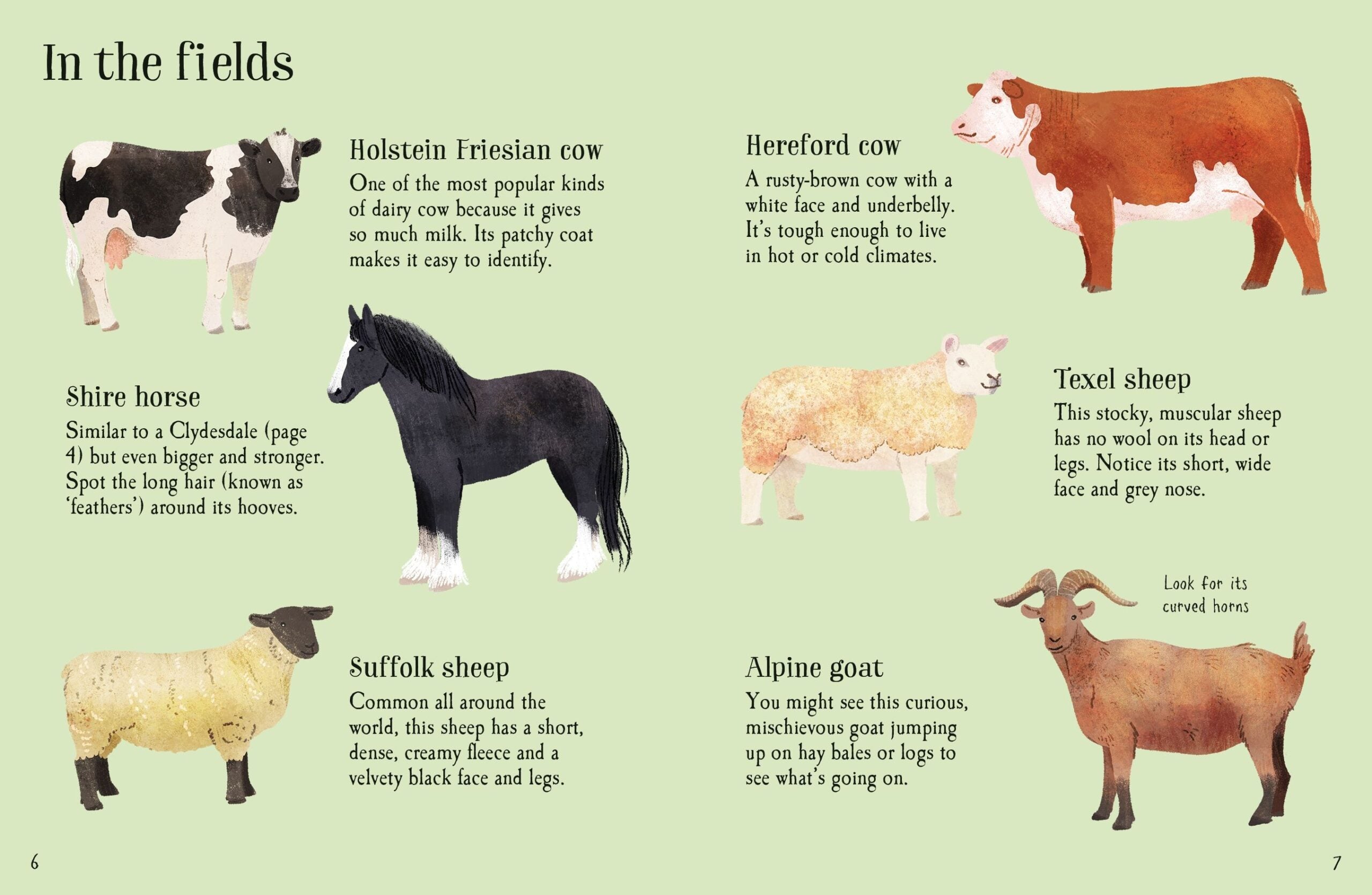Carte pentru copii, Usborne, Farm Animals to Spot, 6+ ani