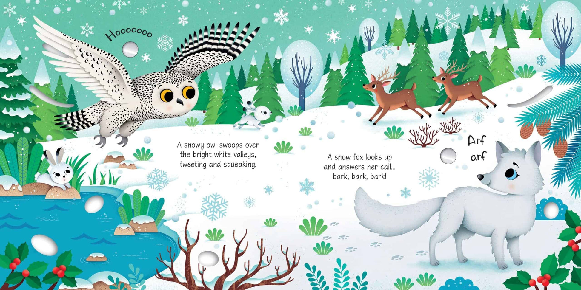 Arctic Animals Sound Book 2