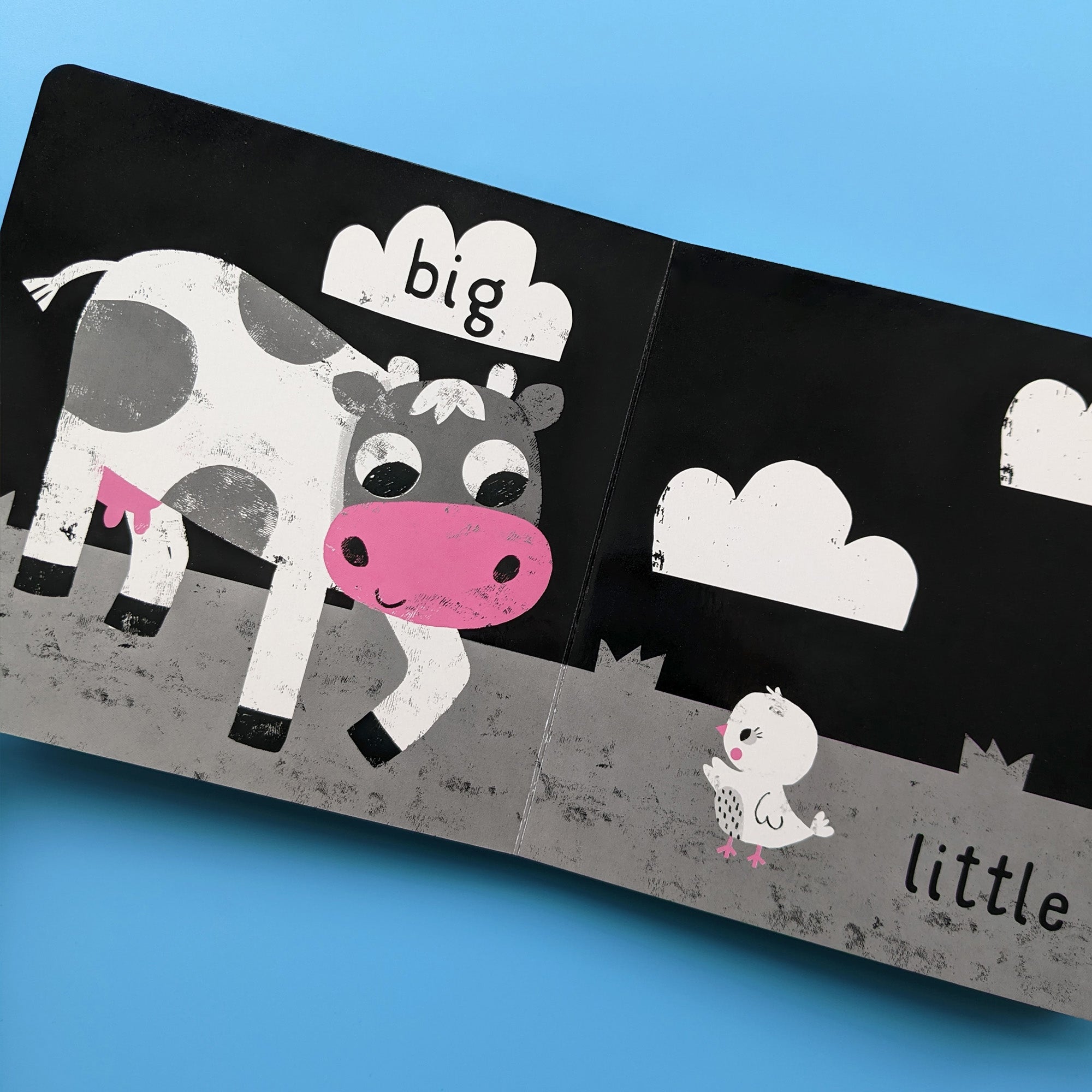 Carte pentru copii, NPP, My First Opposites - Children's Black & White Contrast Book, 0+ ani