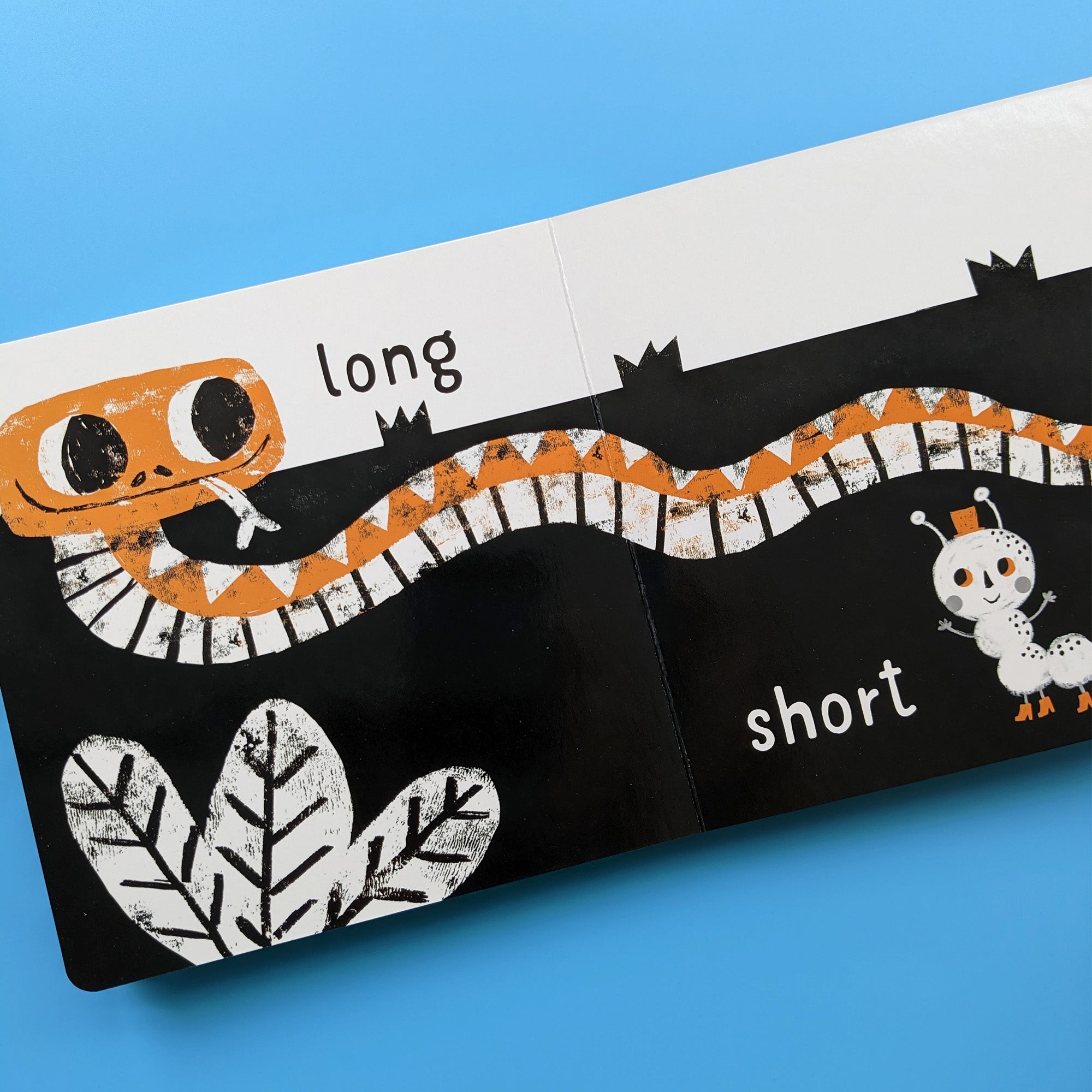 Carte pentru copii, NPP, My First Opposites - Children's Black & White Contrast Book, 0+ ani