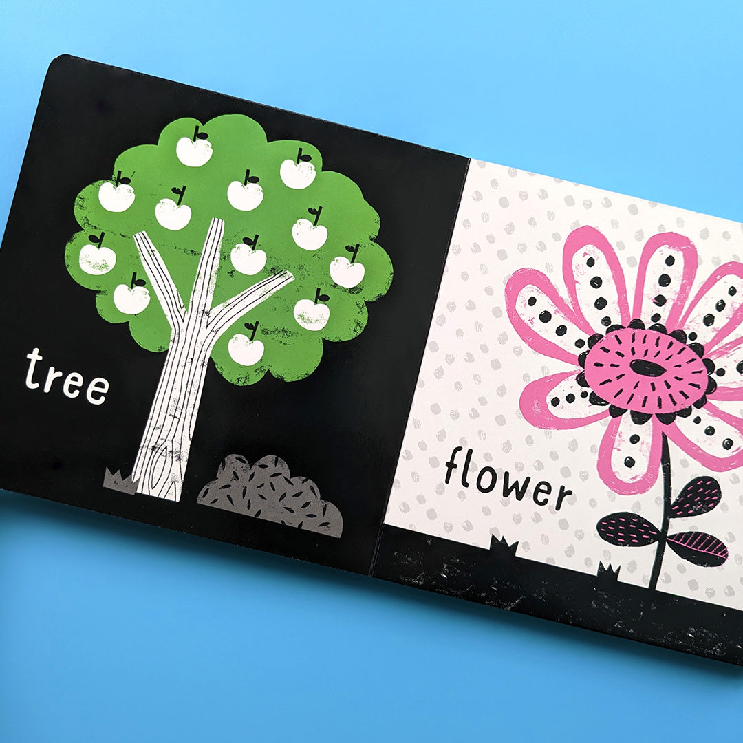 Carte pentru copii, NPP, My First Words - Children's Black & White Contrast Book, 0+ ani