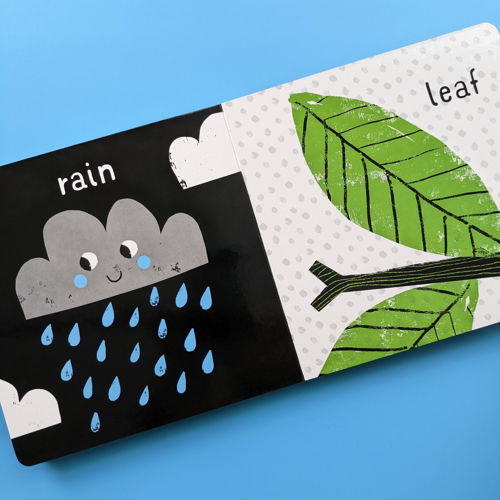 Carte pentru copii, NPP, My First Words - Children's Black & White Contrast Book, 0+ ani