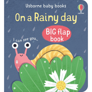 Baby books BIG flap book: On a Raindy day
