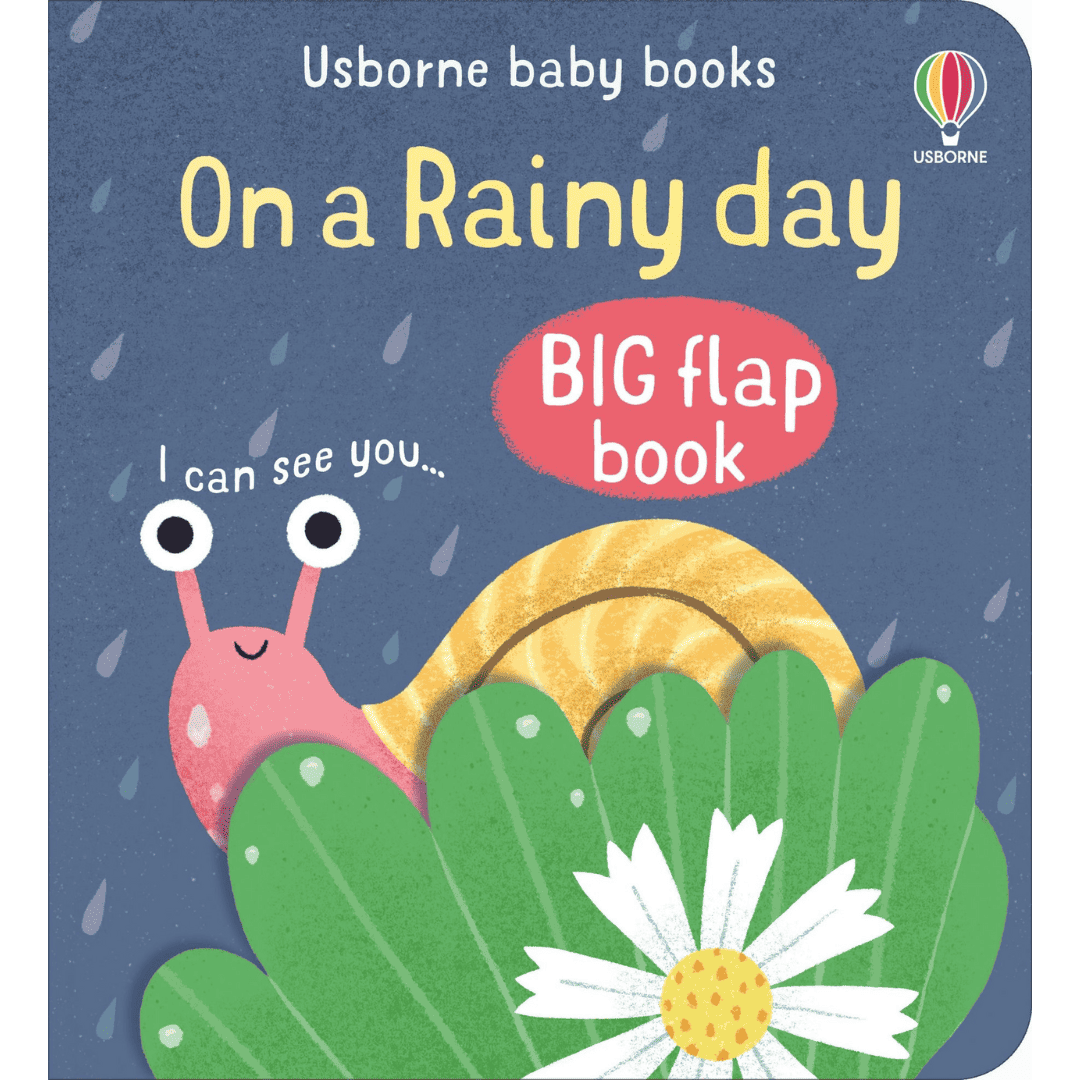 Baby books BIG flap book: On a Raindy day