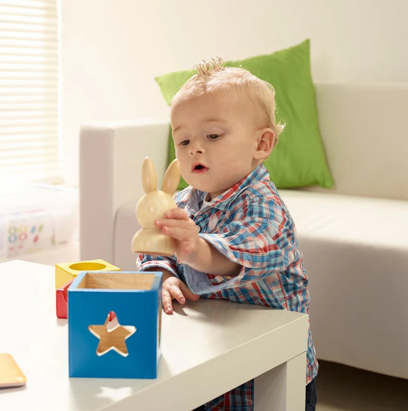 Joc de logica - Bunny BOO, Smart Games, 2 + ani