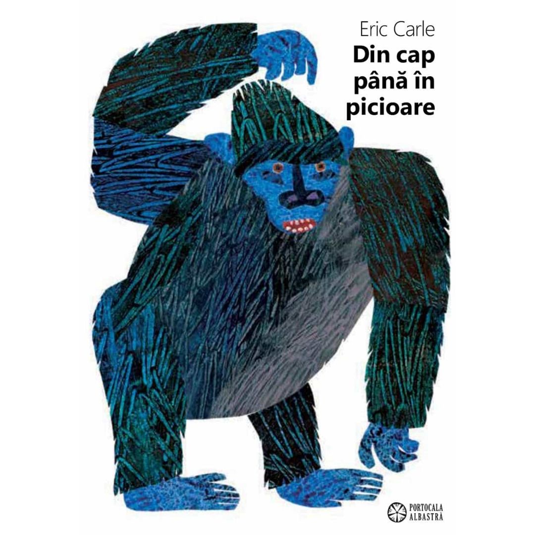 Carle E – Din cap pana in picioare