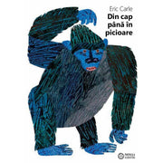 Carle E – Din cap pana in picioare