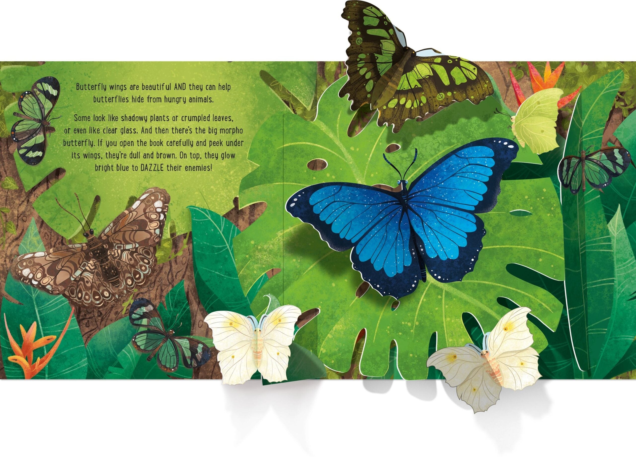 Carte Pop-Up Butterflies