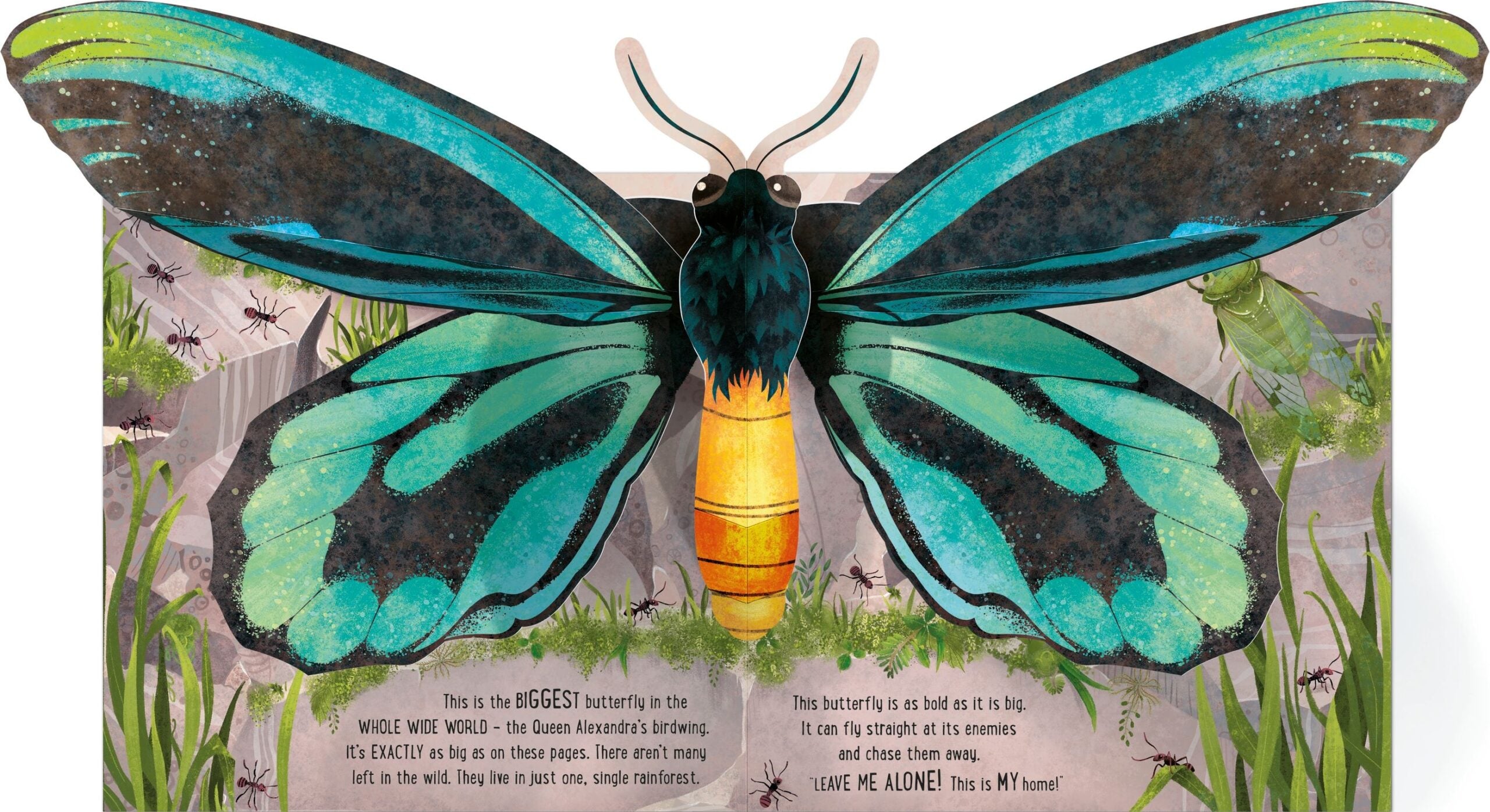 Carte Pop-Up Butterflies