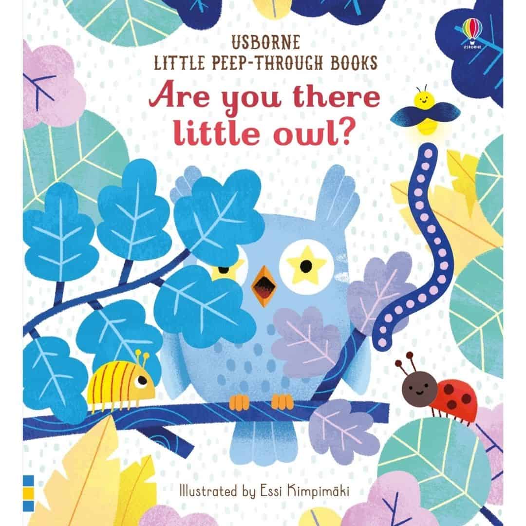 Carte pentru copii - Are you there little Owl?
