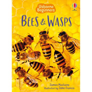 Carte pentru copii - Bees and Wasps 1