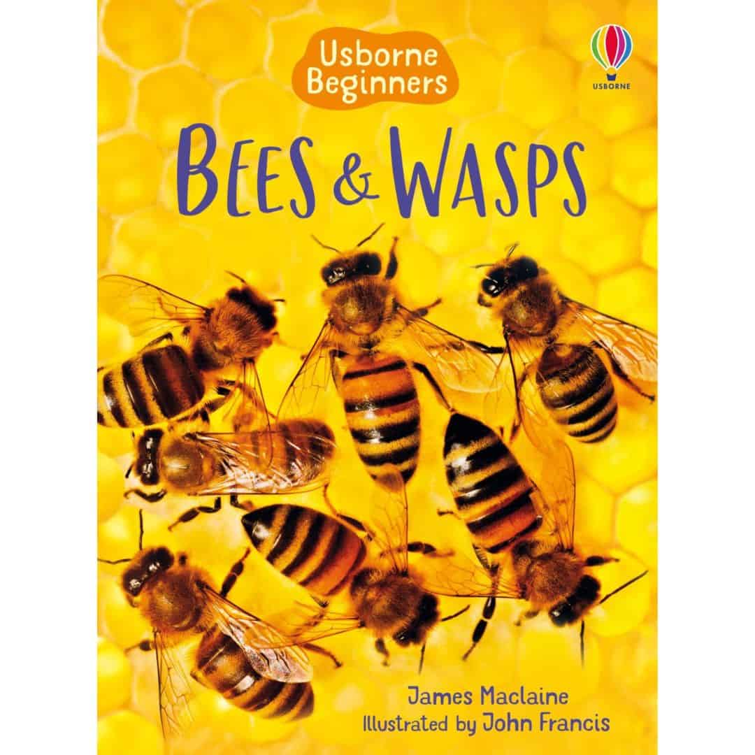 Carte pentru copii - Bees and Wasps 1