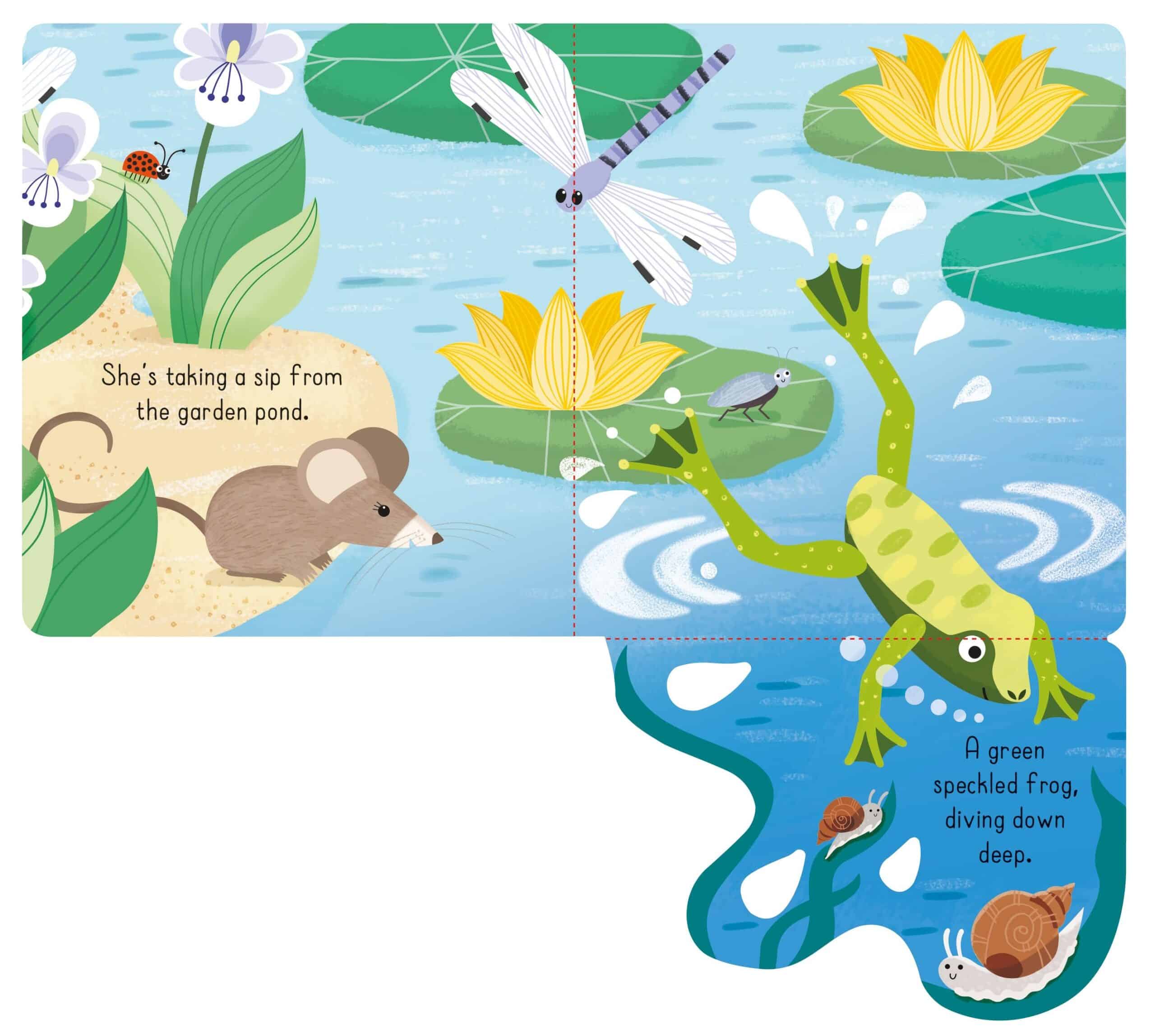 Carte pentru copii - Little Lift and Look Garden