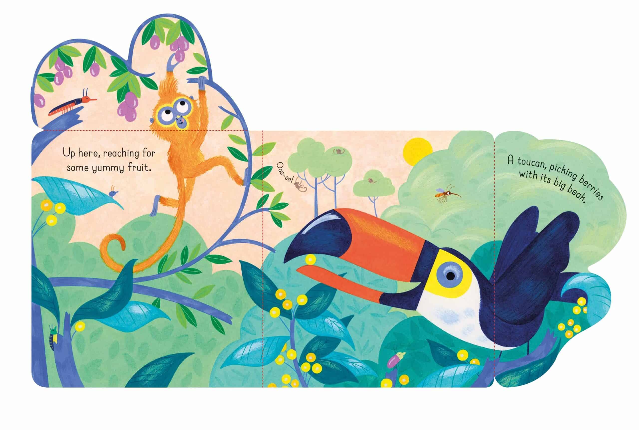 Carte pentru copii - Little Lift and Look Jungle