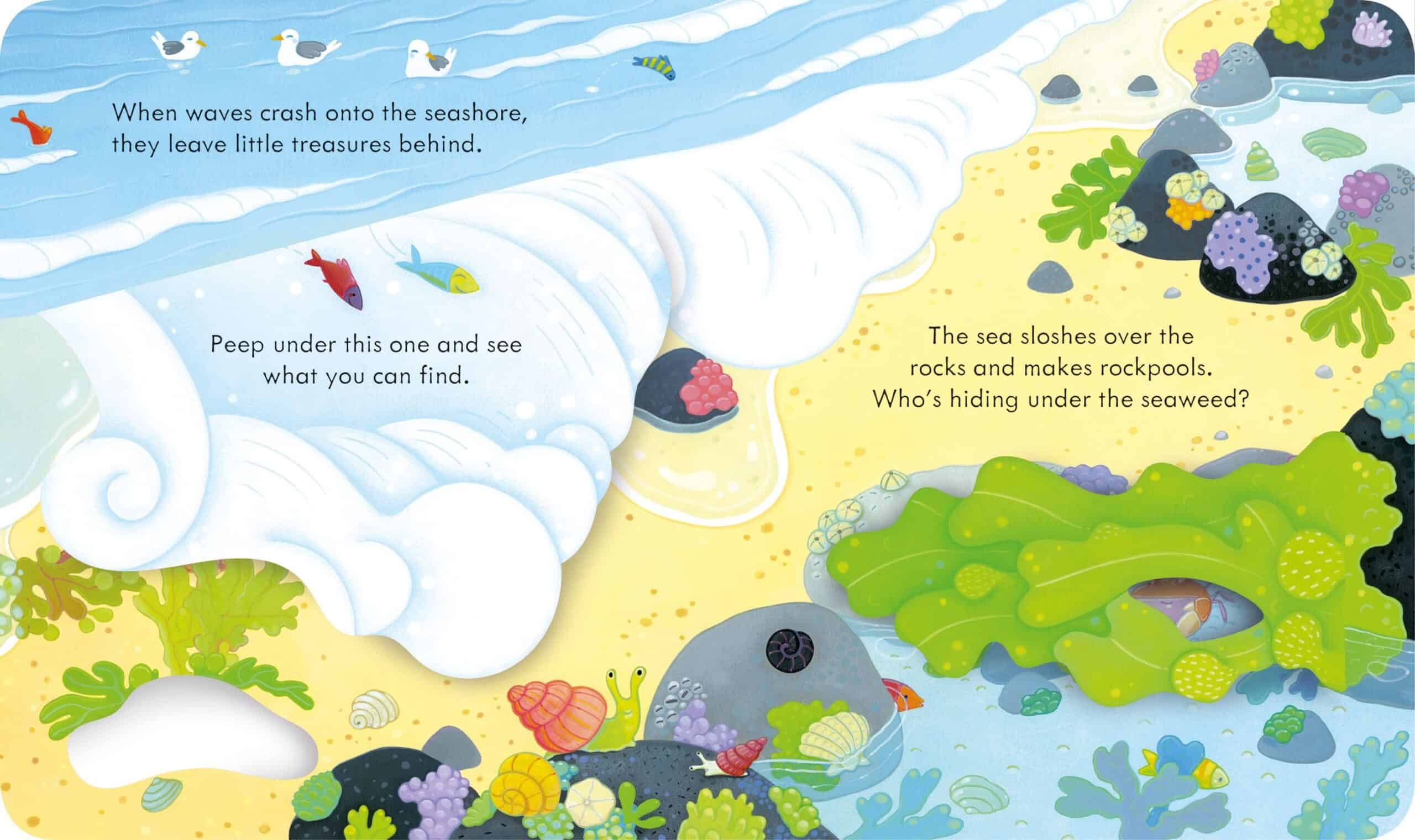 Carte pentru copii - Peep Inside the Seashore