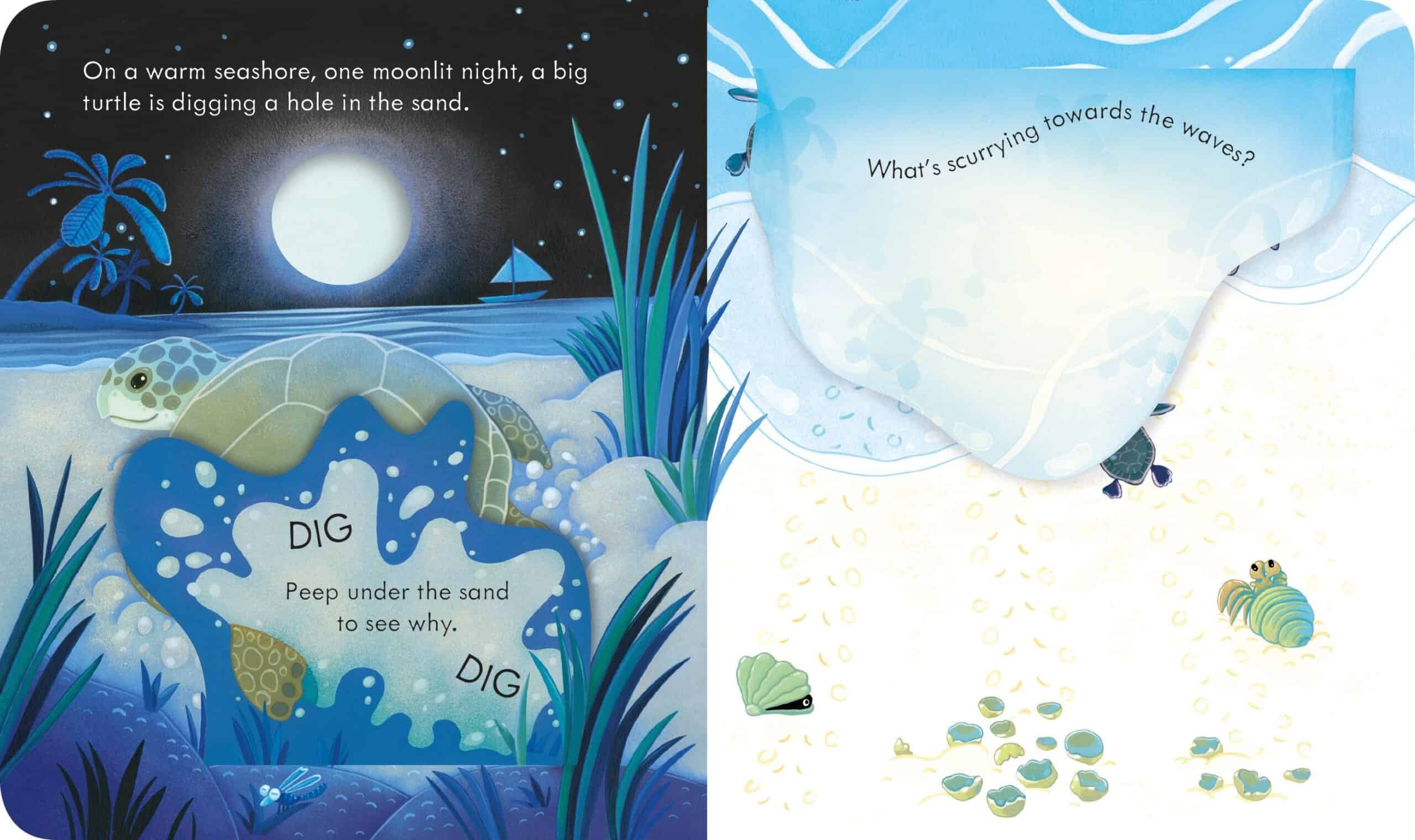 Carte pentru copii - Peep Inside the Seashore