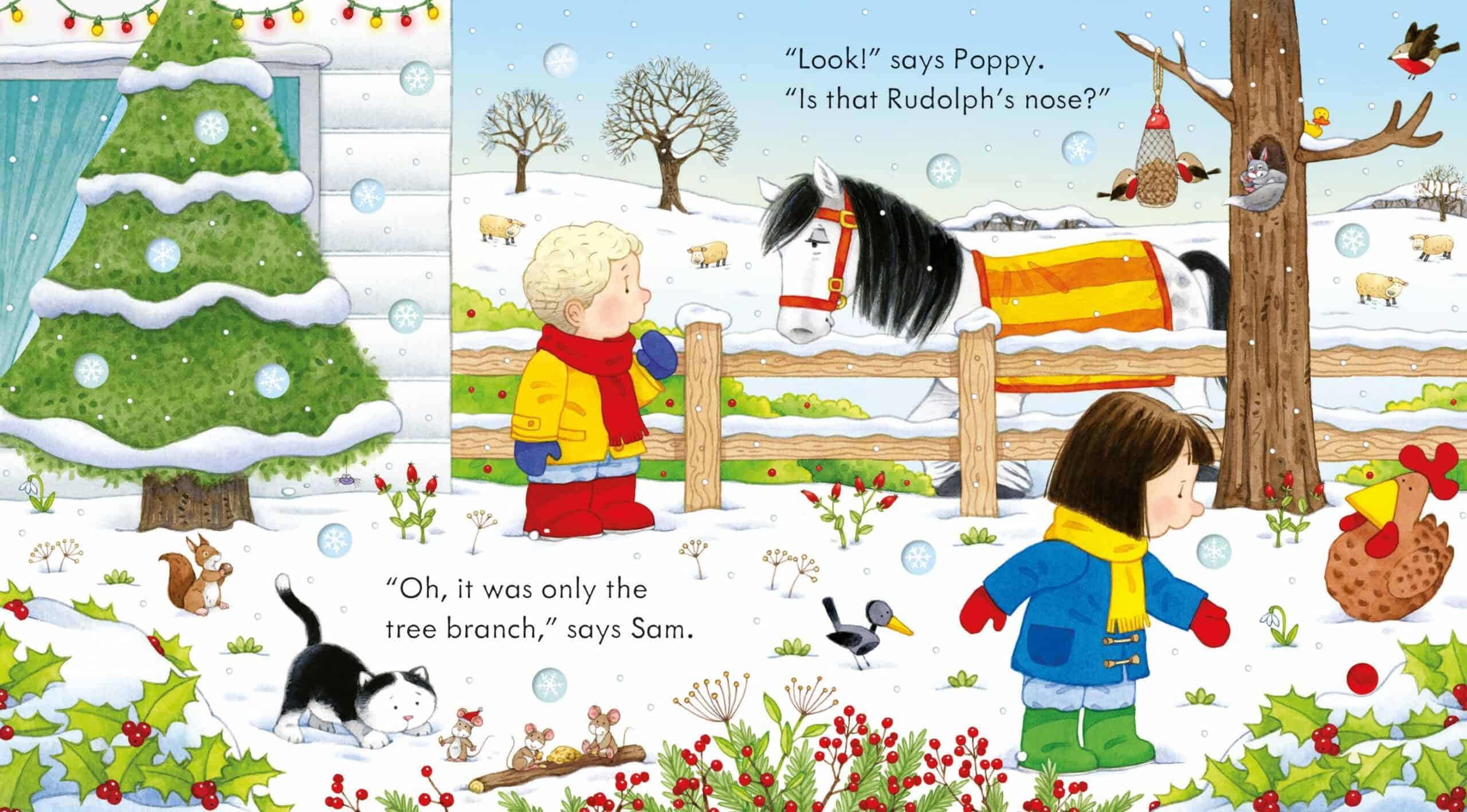 Carte pentru copii - Poppy and Sam's Christmas