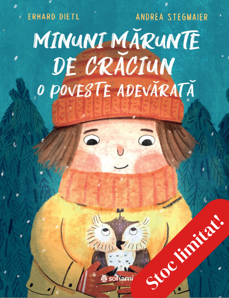 Minuni marunte de Craciun