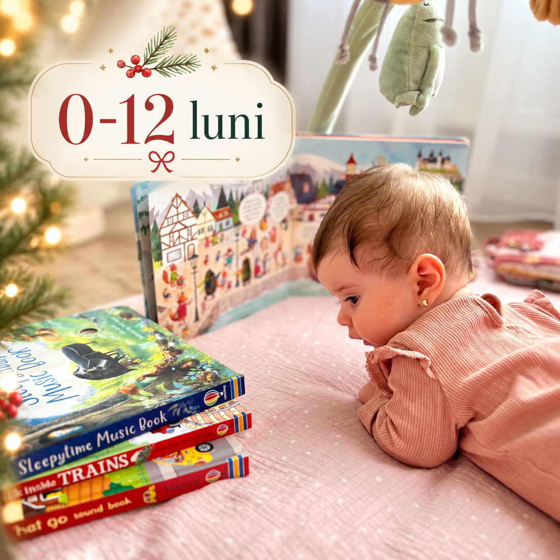 Libraria cu Idei
