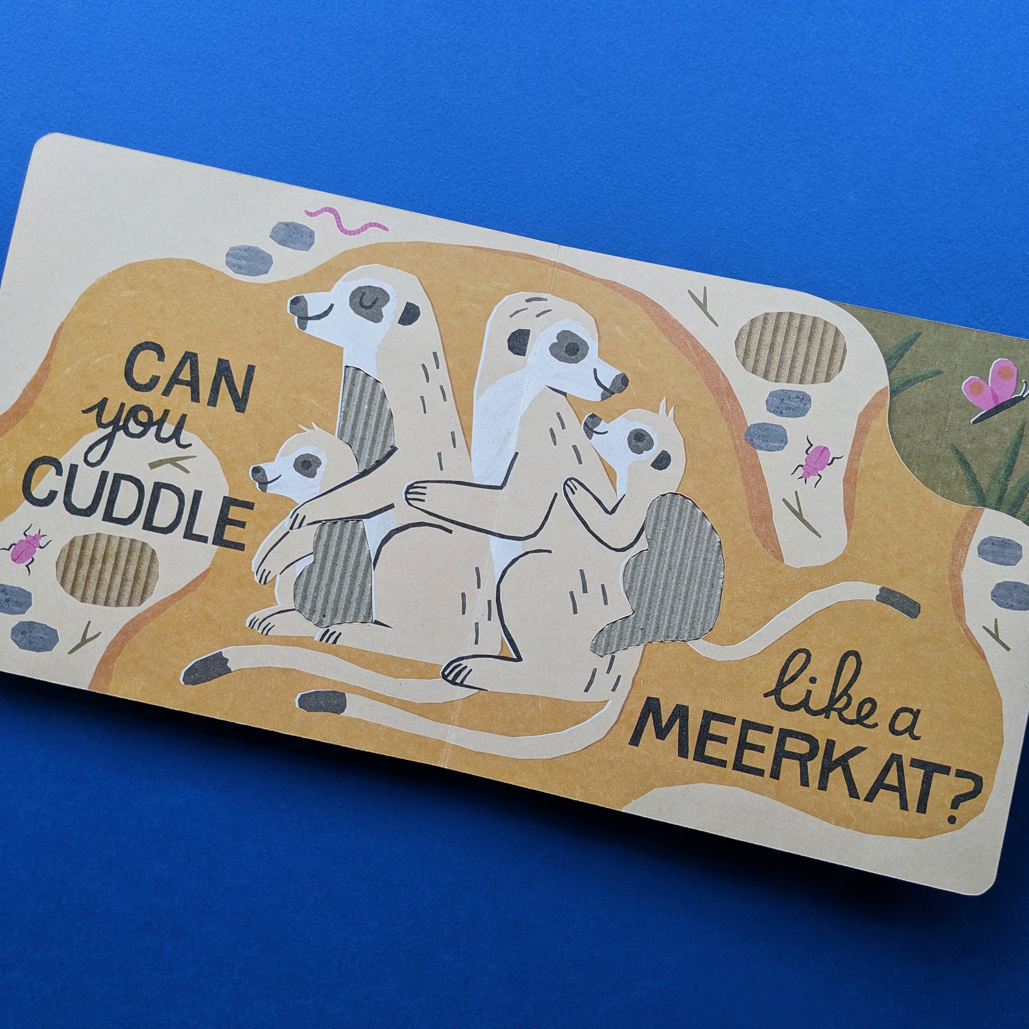Carte pentru copii, NPP, Can You Leap Like A Lion? - Children's Eco Board Book, 2+ ani