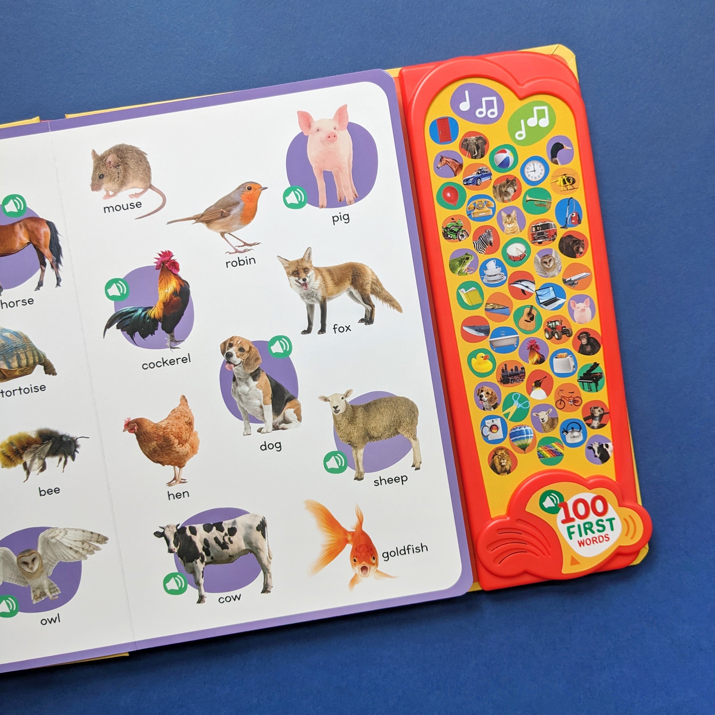 Resigilat - Carte pentru copii, NPP, 100 First Words - Children's 50 Button Sound Book, 0+ ani