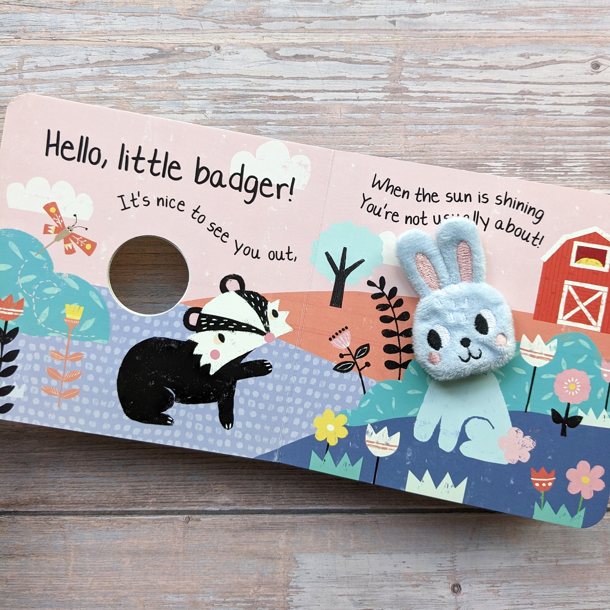 Carte pentru copii, NPP, Hello Little Lamb - Children's Finger Puppet Book, 1+ ani