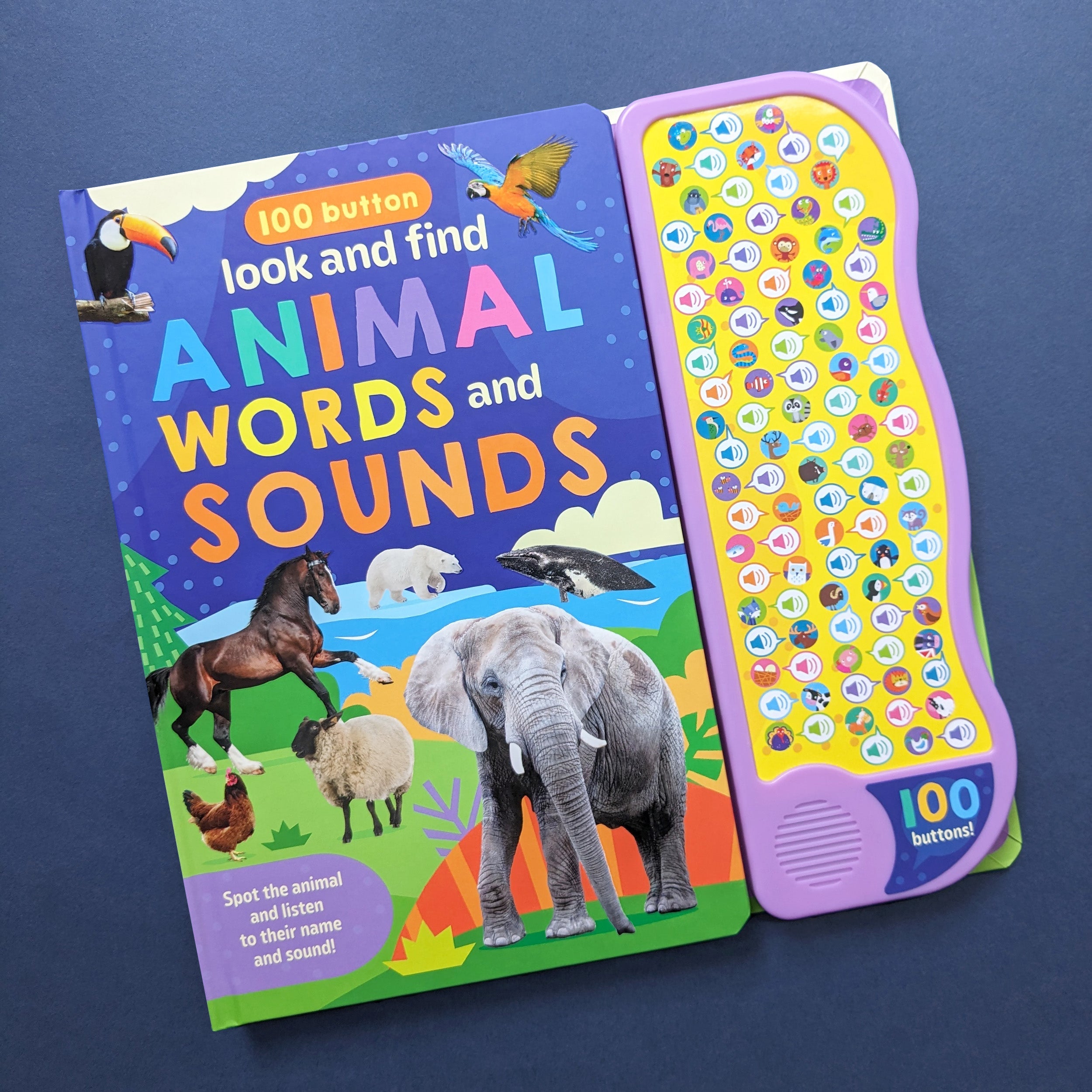 Resigilat - Carte pentru copii, NPP, Look And Find Animal Words & Sounds - Children's 100 Button Sound Book, 1+ ani
