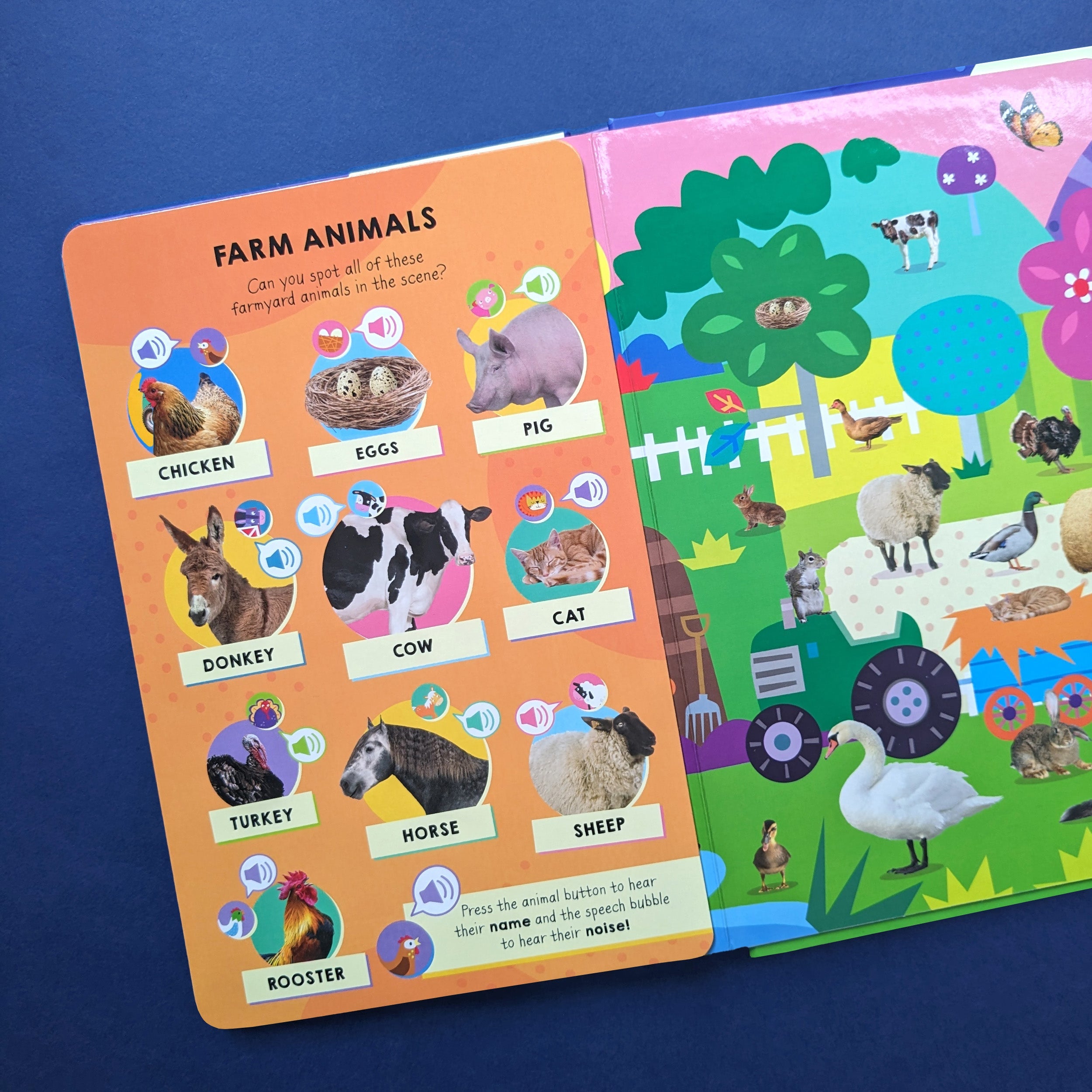 Resigilat - Carte pentru copii, NPP, Look And Find Animal Words & Sounds - Children's 100 Button Sound Book, 1+ ani