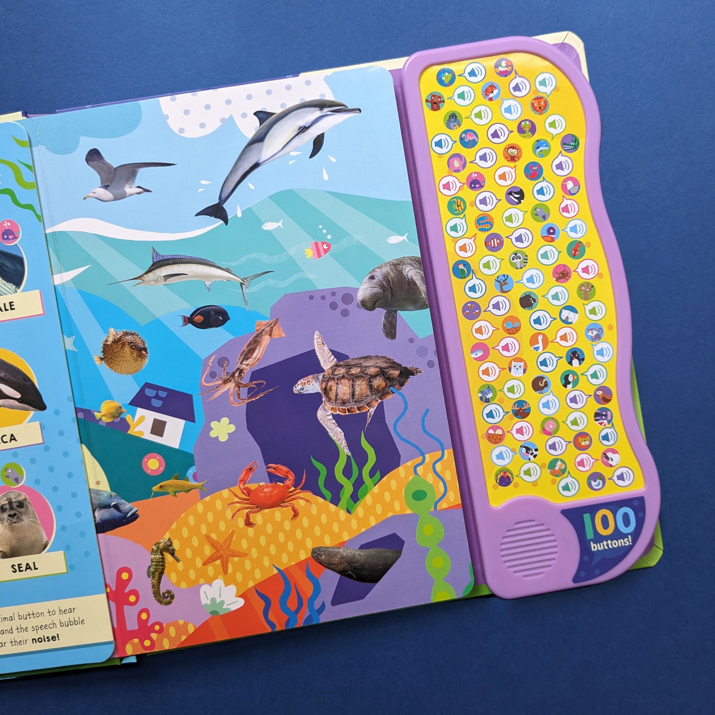 Resigilat - Carte pentru copii, NPP, Look And Find Animal Words & Sounds - Children's 100 Button Sound Book, 1+ ani