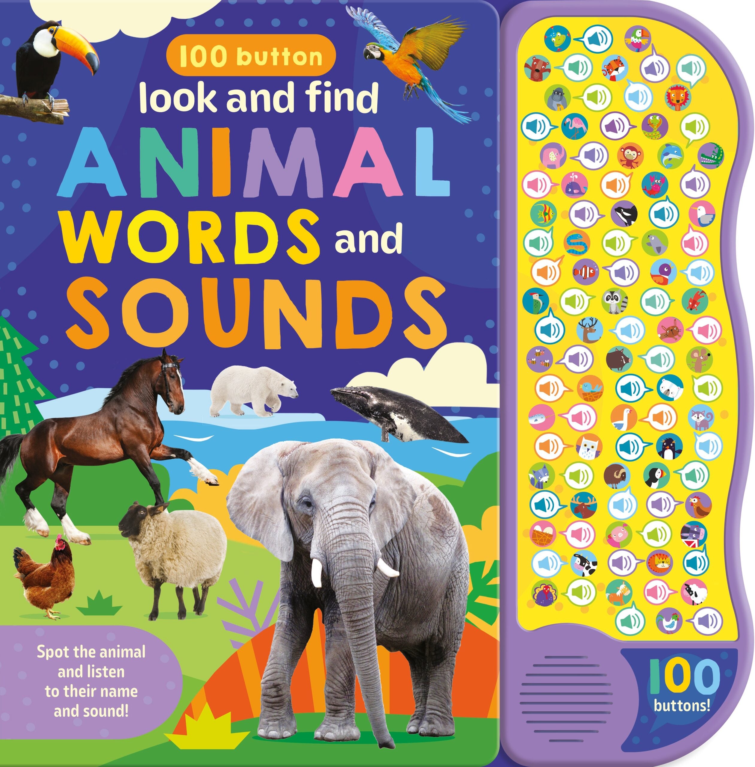 Resigilat - Carte pentru copii, NPP, Look And Find Animal Words & Sounds - Children's 100 Button Sound Book, 1+ ani