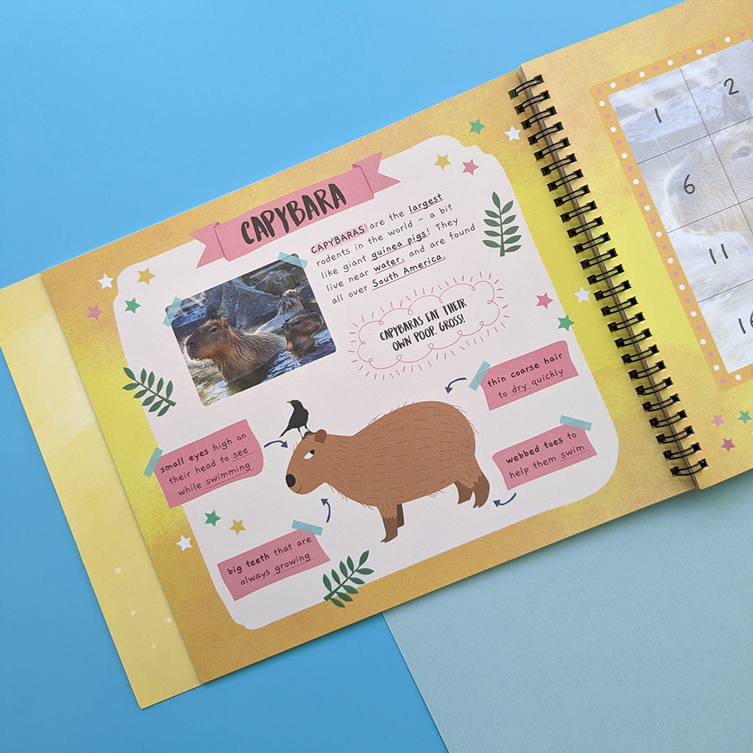 Carte pentru copii, NPP, Jungle Animals - Children's Sticker By Number Activity Book, 3+ ani