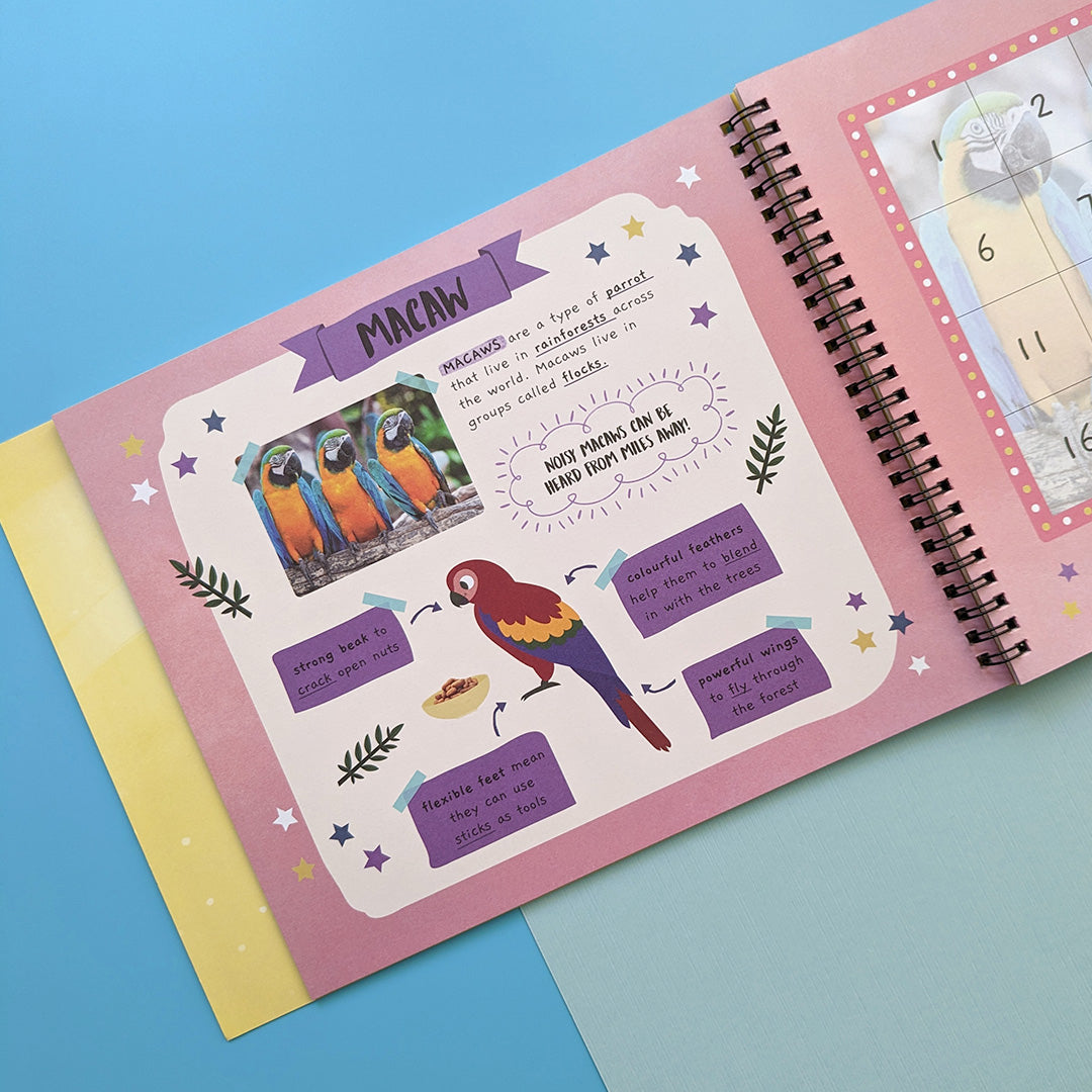 Carte pentru copii, NPP, Jungle Animals - Children's Sticker By Number Activity Book, 3+ ani