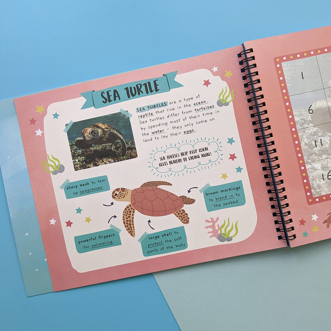 Carte pentru copii, NPP, In The Ocean - Children's Sticker By Number Activity Book, 3+ ani