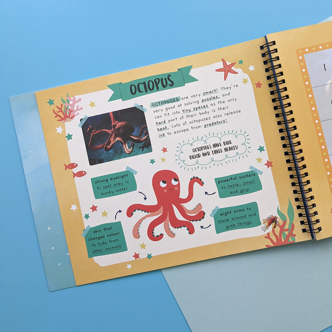 Carte pentru copii, NPP, In The Ocean - Children's Sticker By Number Activity Book, 3+ ani