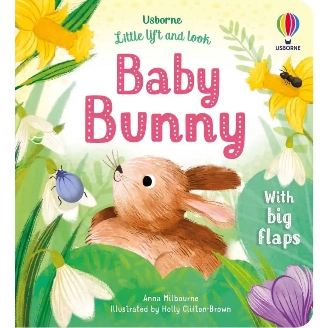 Carte pentru copii - Little Lift and Look Baby Bunny